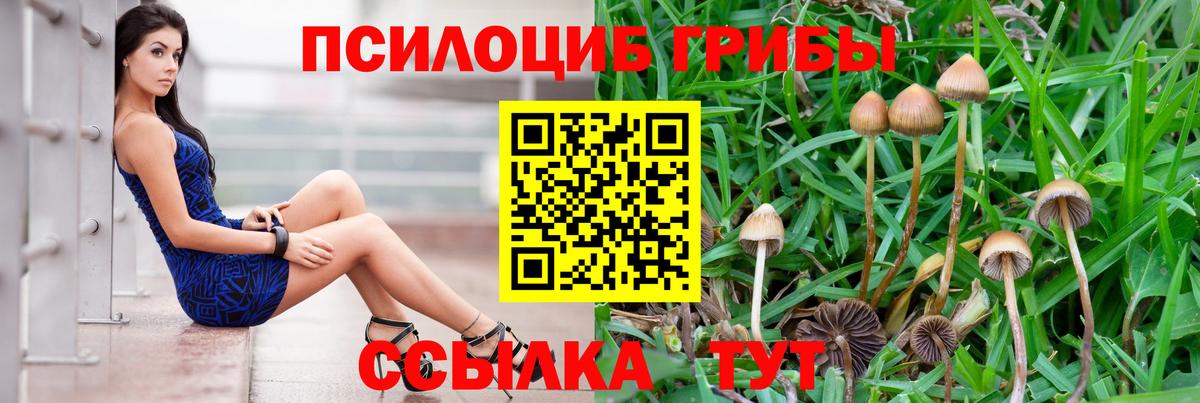 Галлюциногенные грибы MAGIC MUSHROOMS Ипатово