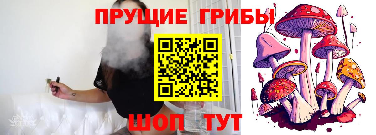 Галлюциногенные грибы Cubensis  Вход с VPN  Ипатово 